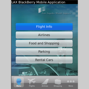 LAX International Airport Application