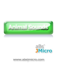 Animal Sounds