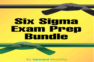 Six Sigma Green Belt and Black Belt Bundle