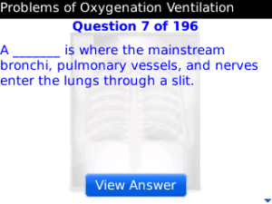 Respiratory in a Flash