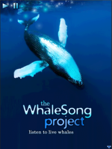 the WhaleSong project