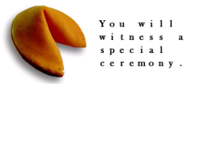 Fortune Cookie