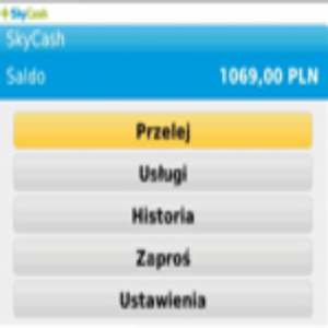 SkyCash for blackberry app Screenshot