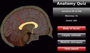 Anatomy Quiz for BlackBerry PlayBook