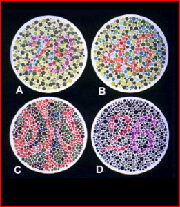 Hearing and Eyesight Test