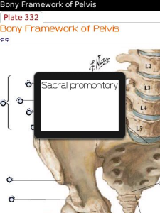 Netters Atlas of Human Anatomy for blackberry app Screenshot