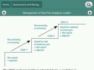 RNAO Nursing Best Practice Guidelines for blackberry app Screenshot