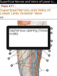 Netters Atlas of Human Anatomy for blackberry app Screenshot