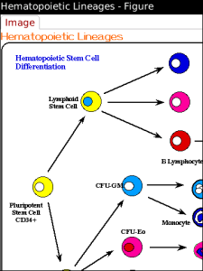 Skyscape OCM Outlines in Clinical Medicine for blackberry app Screenshot