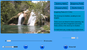 Brain Driver for blackberry app Screenshot