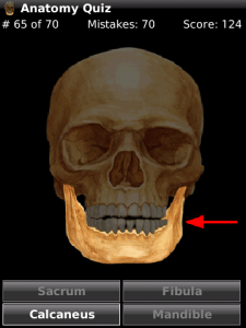 Anatomy Quiz