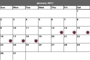 Period Calendar Pro for blackberry app Screenshot