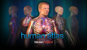 Blausen Human Atlas HD for blackberry app Screenshot