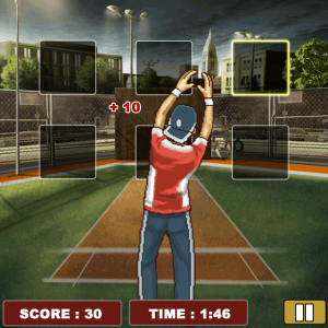 Xtreme Cricket Ace Fielder