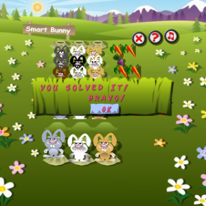 Who Is Who for blackberry game Screenshot