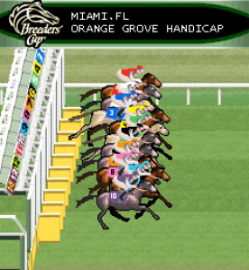 Breeders' Cup Horse Racing