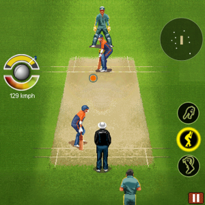 Ultimate Cricket '2011 World Cup Edition