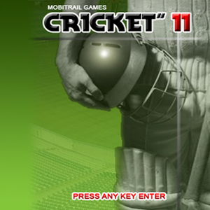 Cricket 11