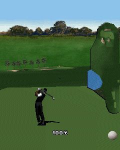 TIGER WOODS 09 by EA SPORTS