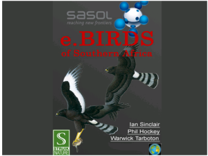 Sasol eBirds of Southern Africa