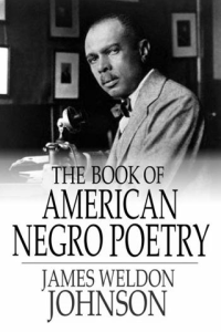 The Book of American Negro Poetry ebook