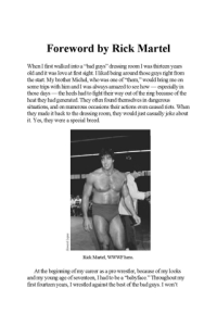 Pro Wrestling Hall of Fame The ebook