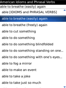 Dictionary of American Idioms and Phrasal Verbs