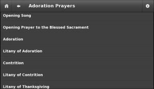 Eucharistic Adoration Prayerbook for BlackBerry PlayBook