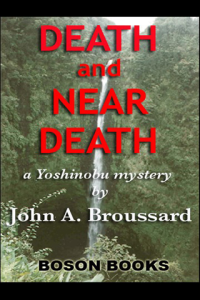 Death and Near Death ebook