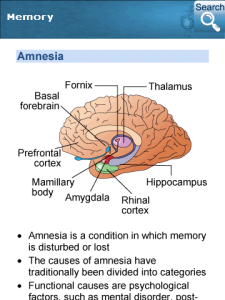 Physiology