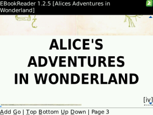 Alice's Adventures in the Wonderland