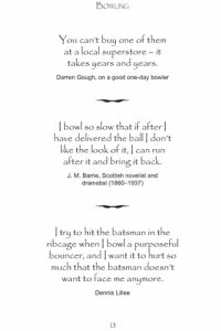 Wicket Wit Quips and Quotes for the Cricket Obsessed ebook