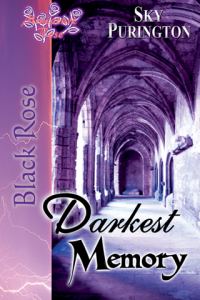 Darkest Memory ebook