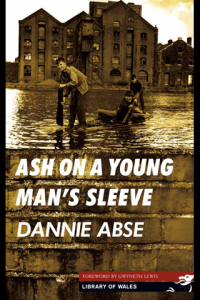 Ash on a Young Mans Sleeve ebook