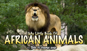 My Little Book Of African Animals