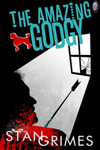 The Amazing Godgy ebook