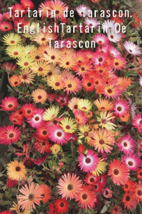 Tartarin de Tarascon EnglishTartarin De Tarascon ebook