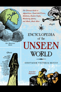 Encyclopedia of the Unseen World The Ultimate Guide to Apparitions Death Bed Visions Mediums Shadow People Wandering Spirits and Much Much More ebook