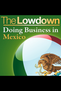 The Lowdown Doing Business in Mexico ebook