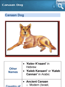 Dog Reference