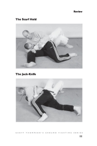 Arm Bars and Joint Locks ebook