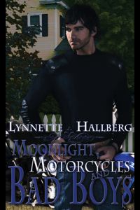 Moonlight Motorcycles and Bad Boys ebook