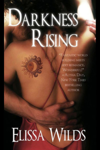 Darkness Rising ebook