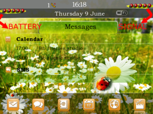 Spring Daisy Theme