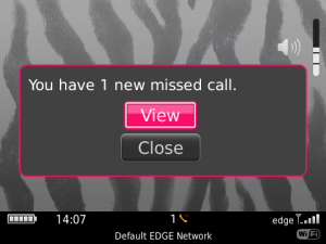 Zebra Print Photo Frame Theme Not Animated