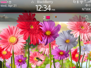 Flowers HD Theme with Tone