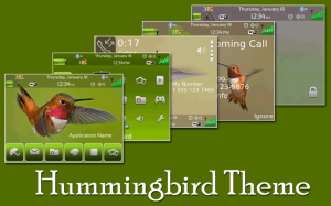 Hummingbird Theme