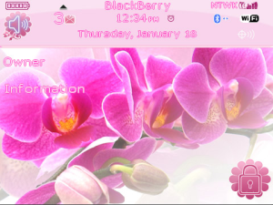 Orchid Theme