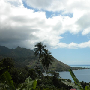 French Polynesia - Tropical Paradise