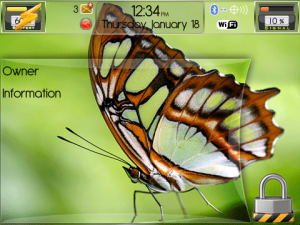 Beautiful Butterfly Theme